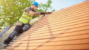 Steel Roofing in Daisetta, TX